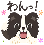 箱崎 星梨花のスタンプ 1