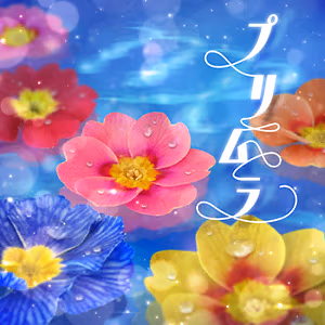 プリムラ ジャケット