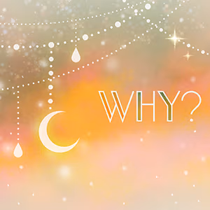 WHY? ジャケット