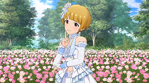 ストレートだよねの画像